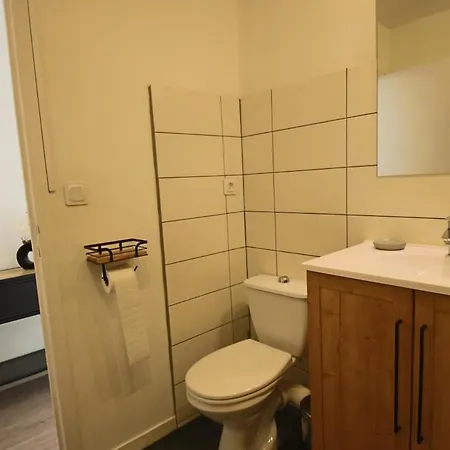 T1 31m2 Lumineux Centre-ville Wifi