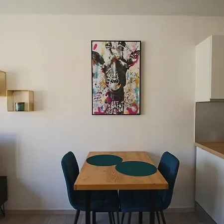 Apartamento T1 31m2 Lumineux Centre-ville Wifi Aix-les-Bains