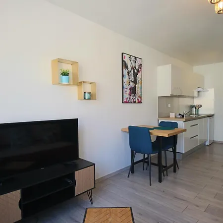 Apartment T1 31m2 Lumineux Centre-ville Wifi Aix-les-Bains