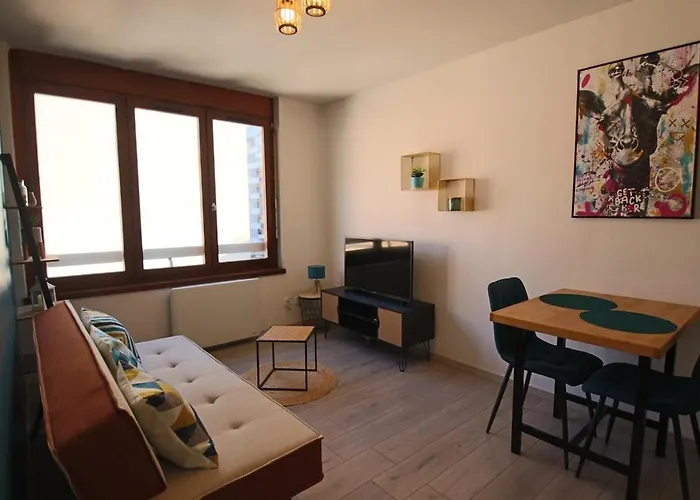 Apartamento T1 31m2 Lumineux Centre-ville Wifi Aix-les-Bains