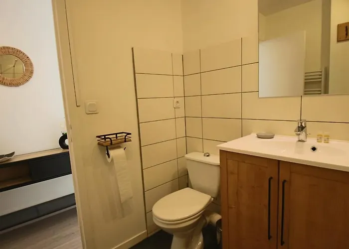 T1 31m2 Lumineux Centre-ville Wifi