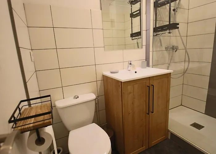 T1 31m2 Lumineux Centre-ville Wifi Aix-les-Bains