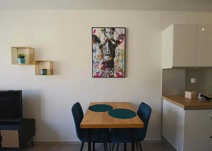 Appartement T1 31m2 Lumineux Centre-ville Wifi Aix-les-Bains