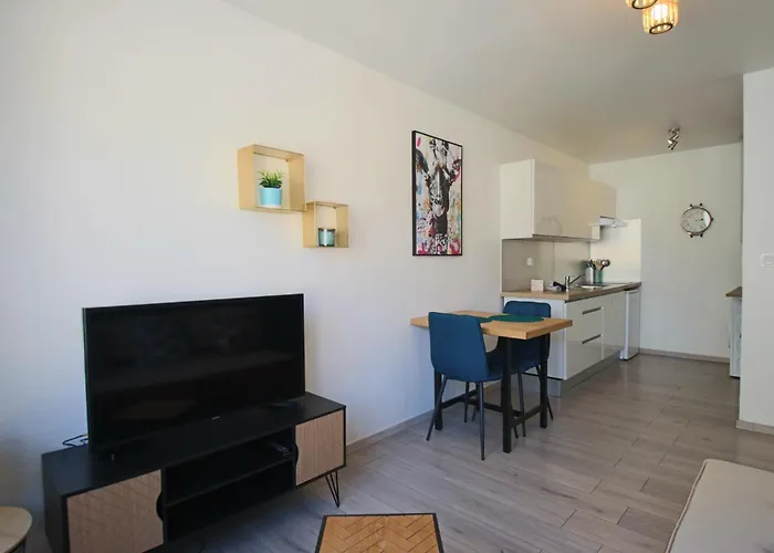 Apartment T1 31m2 Lumineux Centre-ville Wifi Aix-les-Bains