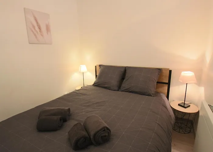 T1 31m2 Lumineux Centre-ville Wifi Apartment