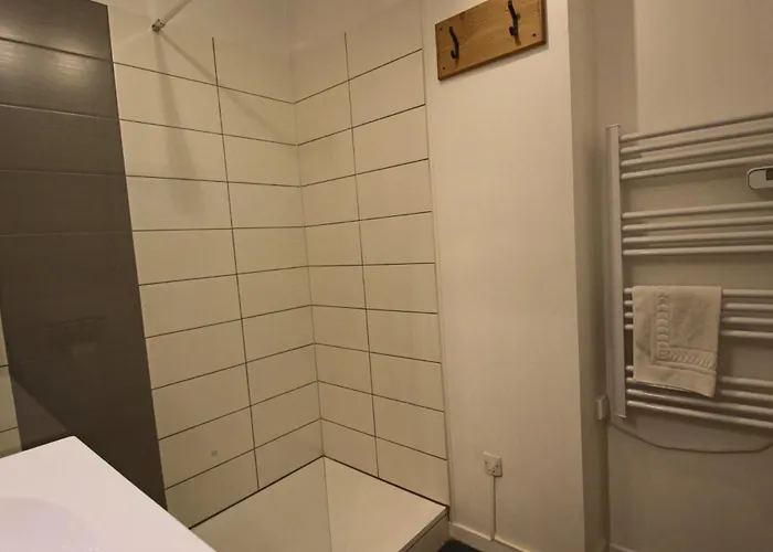 T1 31m2 Lumineux Centre-ville Wifi * Aix-les-Bains