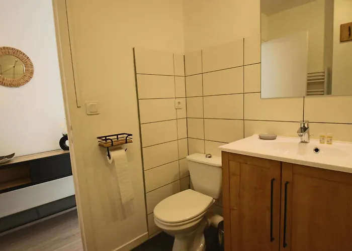 T1 31m2 Lumineux Centre-ville Wifi * Aix-les-Bains